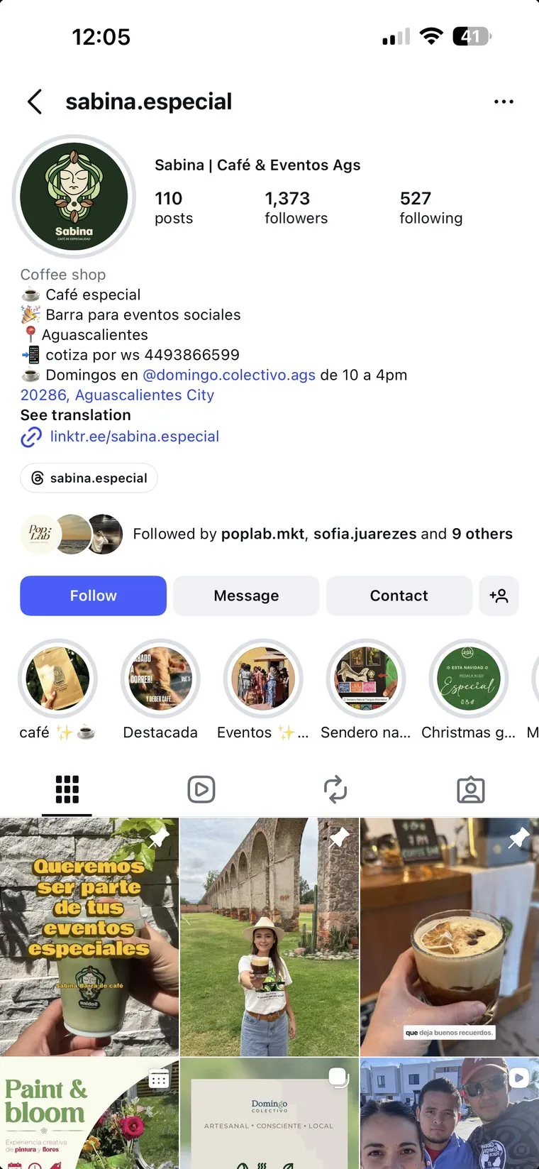 Perfil de Instagram de Sabina antes de trabajar con PopLab