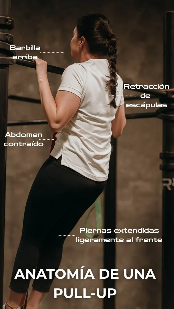 Historia de Rhino explicando la anatomía de una pull-up paso por paso